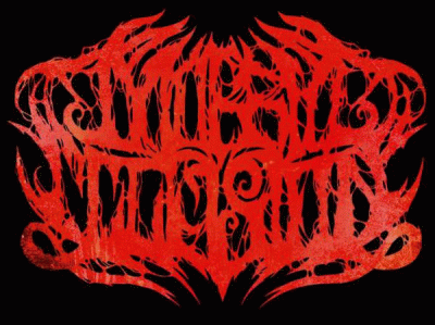 logo Morbid Illusion
